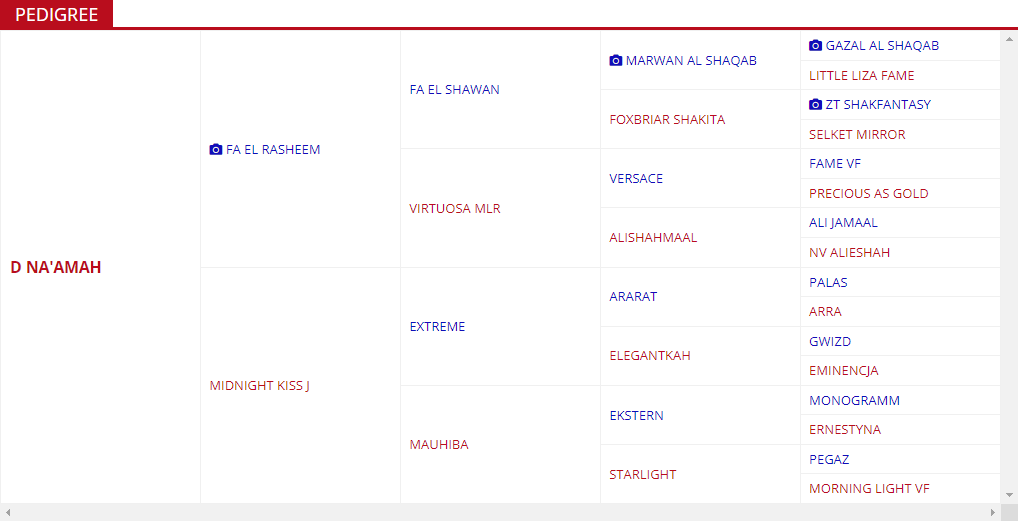 D Na’amah Pedigree