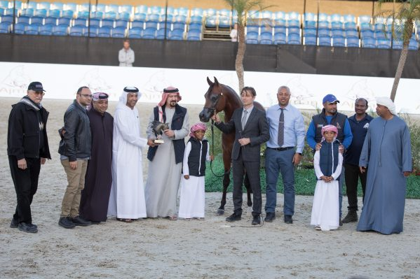 Al Shira’aa Arabian Horse Show Part III - D Jari