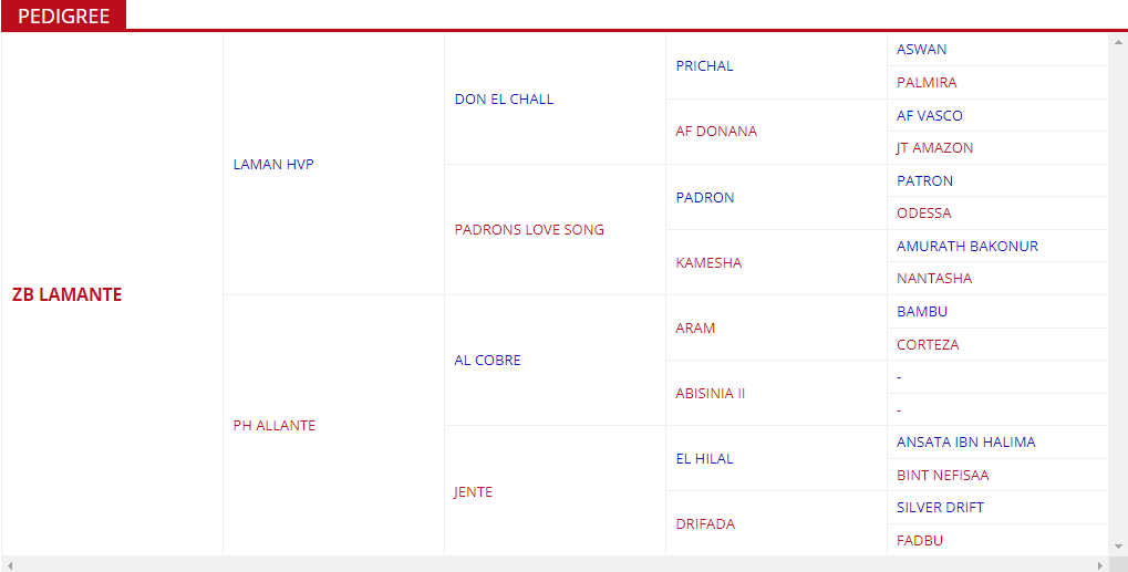 ZB LAMANTE pedigree