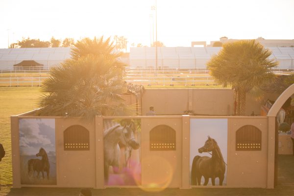 Al Shira'aa Arabian Horse Show Part III