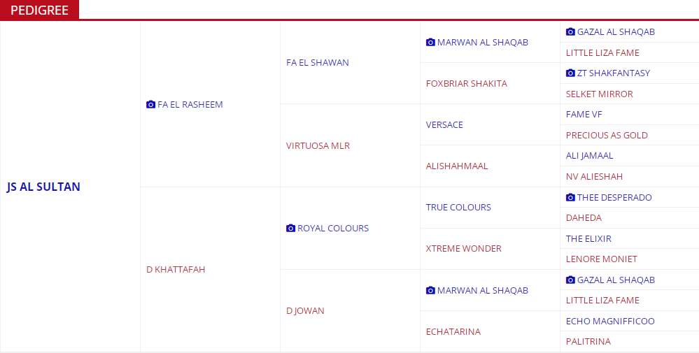js al sultan pedigree