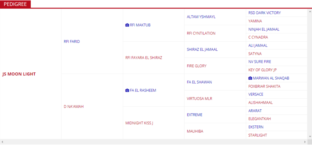 JS MOON LIGHT Pedigree