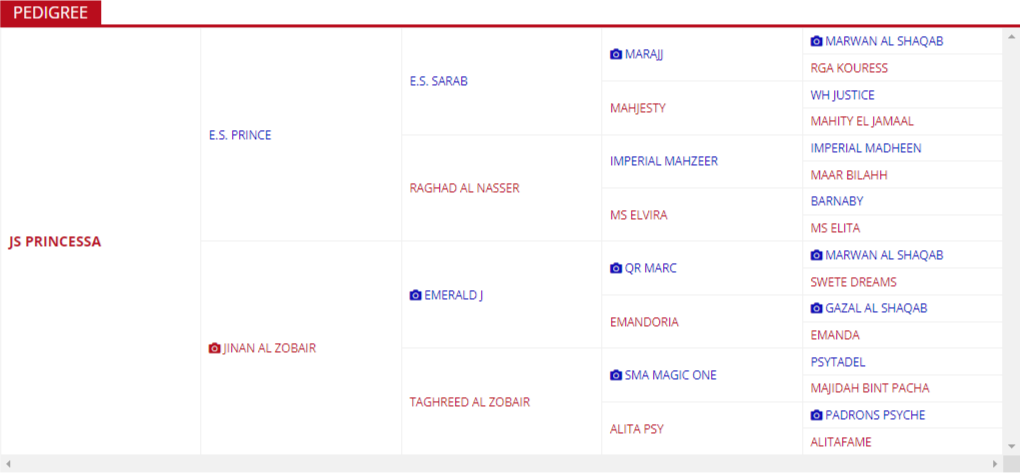 JS PRINCESSA pedigree
