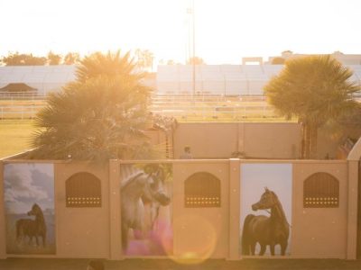 Al Shira'aa Arabian Horse Show Part III