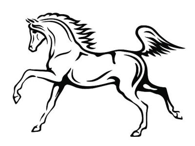 Black and white vector outlines of arabian horse
