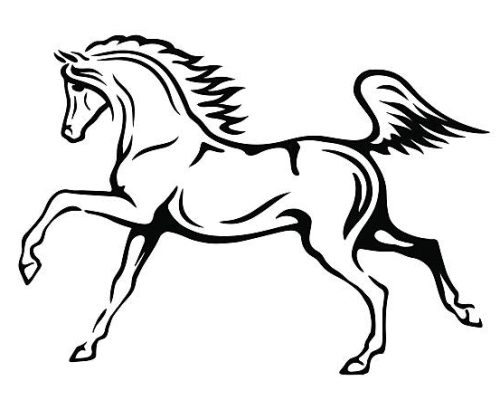 Black and white vector outlines of arabian horse
