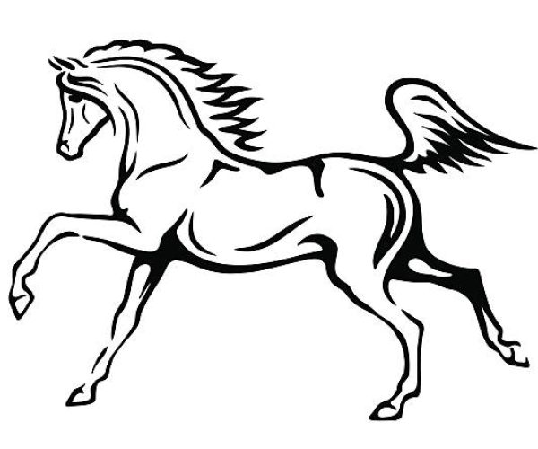 Black and white vector outlines of arabian horse